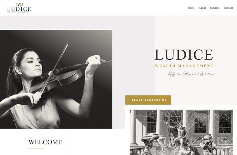 Ludice Wealth Management